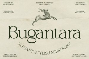 Bugantara – Elegant Thin Serif Font