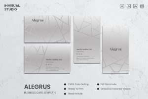 Business Card Template