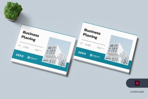 Business Planning