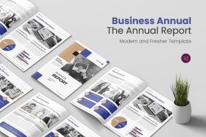 Business Report Annual Report