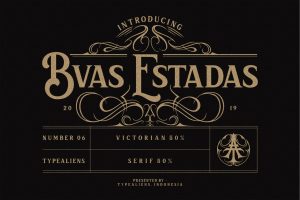 Bvas Estadas