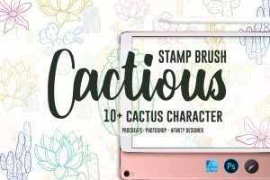 Cactious | Stamp Brushes