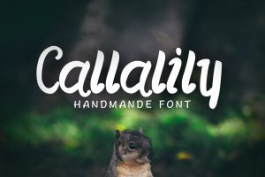Callalily Typeface