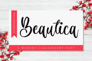 Calligraphy Font