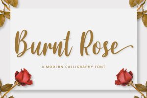 Calligraphy/Cursive Font