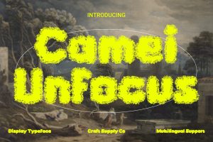 Camei Unfocus