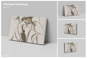 Canvas Mockup
