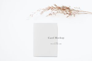 Card Mockup #772
