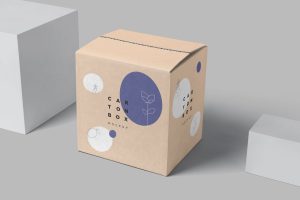 Carton Box Mockups