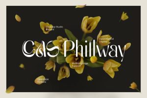 Cas Phillway – Whimsical Sans Serif Typeface