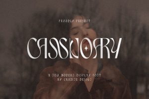 Cassnoary Modern Font