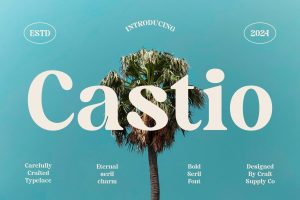 Castio – Bold Font