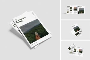 Catalog a4 Mockup