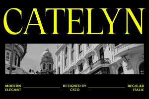 Catelyn – Elegant Font