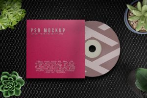 CD  DVD With And Mockup