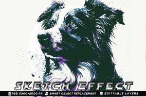 Charcoal Sketch  Photo Effect Photoshop