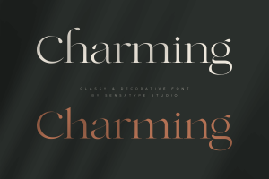 Charming – Classy & Decorative Font