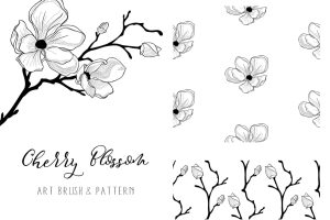 Cherry Blossom 2. Floral Design Element. Vector.