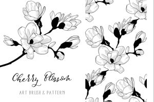 Cherry Blossom. Floral Design Element. Art Brush.