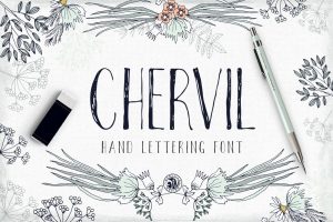Chervil hand lettering font