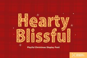 Christmas – Hearty Blissful