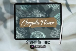 Chrysalis Flower Brush Stamp  Procreate