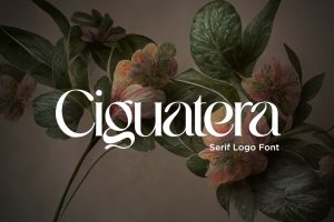 Ciguatera Serif Logo Font