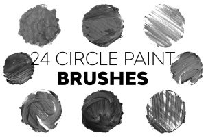 Circle Paint Brushes