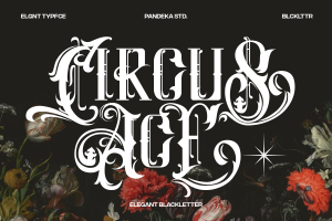 Circus Ace – Modern Elegant Blackletter
