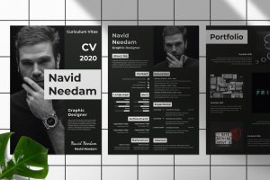 Clean Resume / CV Portfolio