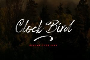 Clock bird