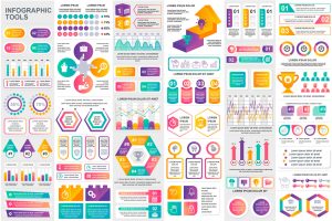 Collection Infographic Elements Template Graphics