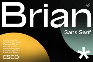 CS Brian – Contemporary Font