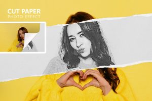 Cut Paper Photo Effect