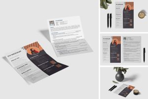 CV Mockup