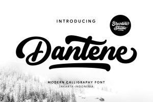 Dantene – Modern Calligraphy Font