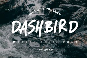 Dashbird – Brush Font