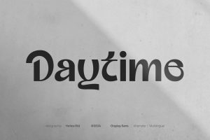 Daytime Display Sans Font
