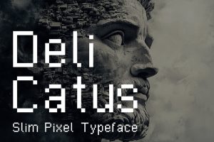 Delicatus – Slim Pixel Typeface
