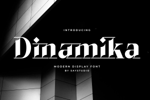 Dinamika – Modern Luxury Font