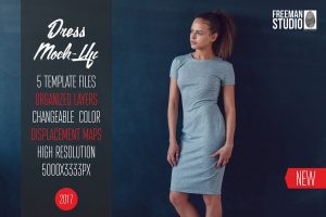 Dress Mock-Up 2017
