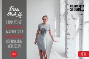 Dress Mock-Up Vol.2 2017