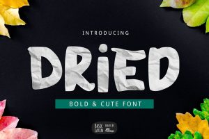 Dried Bold Font