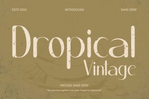 Dropical  – Vintage sans serif