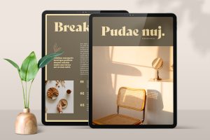 Ebook