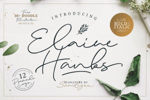 Elaine Hanks (+Feminine Logo Pack)