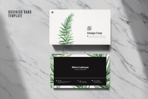 Elegant Business Card Template