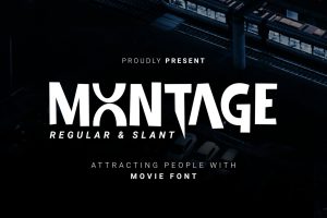 Elegant Display Font for Branding