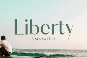 Elegant Unique Thin Serif Font