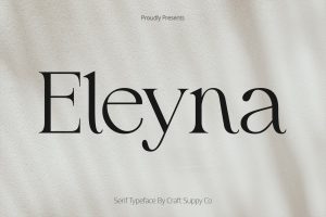 Eleyna – Feminine Serif